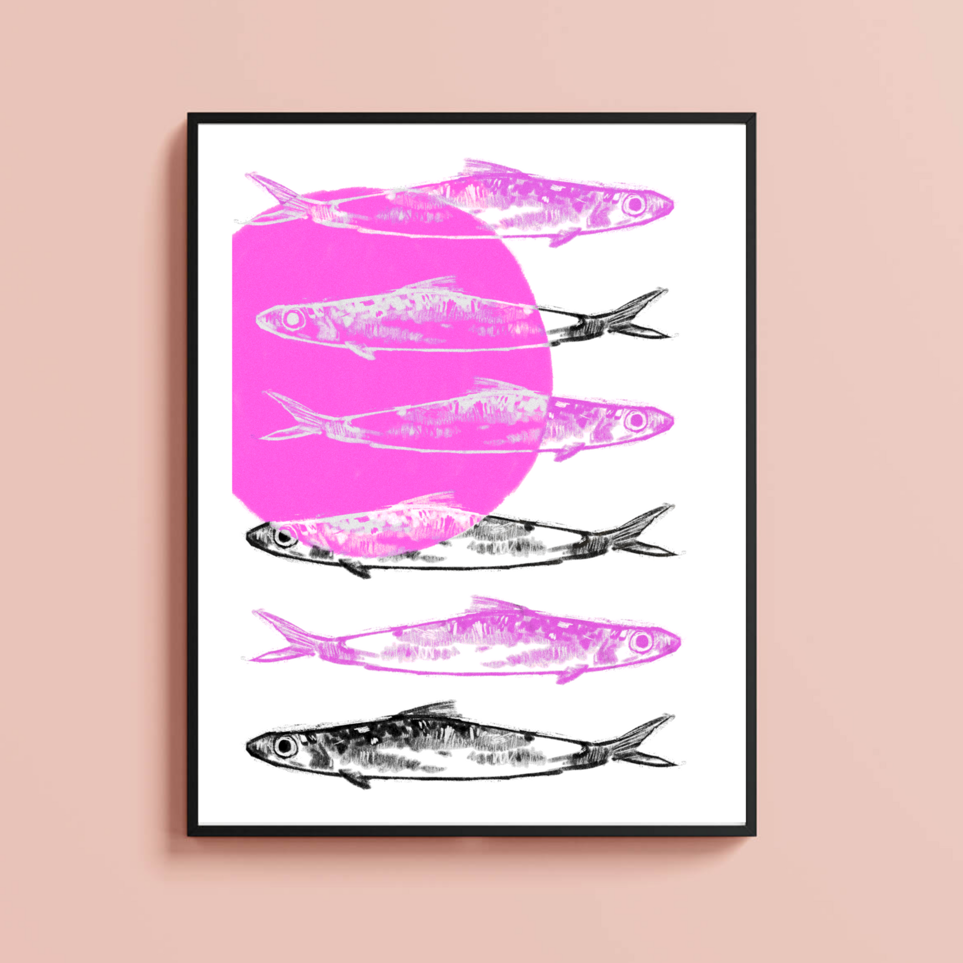 Sardines
